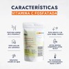 Hebbe sérum vitamina C fosfatada 10 g, ascorbil fosfato antioxidante