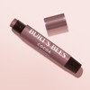Burt's Bees Lip Shimmer in Cocoa – Nourishing Lip Balm