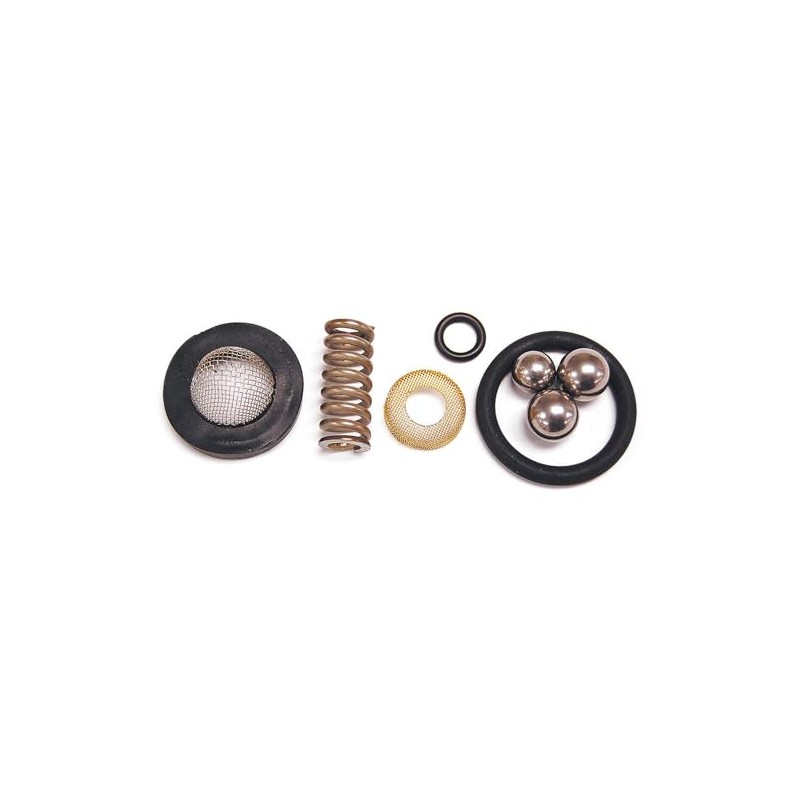 WHEELER-REX 29250 - Hydrostatic Test Pump Rebuild Kit for 29200