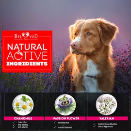 Calming Treats for Dogs - Advanced Calm Behavior Bites with - Storms, Fireworks, Separation, Barking Aid - Made in USA - 170 Soft Chews