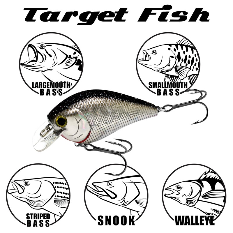 LUCKY CRAFT Fat CB BDS2, Fishing Lure, Crankbait (183 Pearl