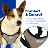 AKC Premium Padded Step-in Dog Harness – Soft Comfort Fit