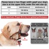 ANDA Gentle Leader Ultra-Light No-Pull Dog Headcollar: Adjustable, Breathable Comfort,