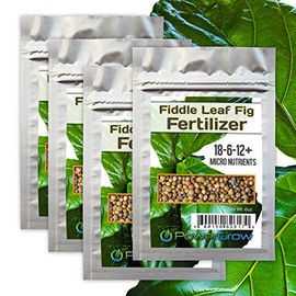 Fiddle Fig Fertilizer - Full Spectrum + Micro Nutrients - Slow Release Feeds for 8 Months - Bag is Over a Year Supply for Fiddle Leaf Fig Trees (Fiddle Fig Fertilizer - 6oz Bags 4 Pack)