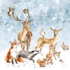 Wrendale Designs by Hannah Dale - Winter Wonderland - Christmas Card Box Set - Pack of 8