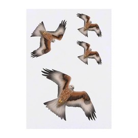 4 x 'Soaring Red Kite' Temporary Tattoos - Water Resistant, Skin-Safe, Non-Toxic Transfers, Mixed Sizes (TO00080648)
