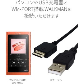 Audiophan Walkman Charging Cable Data Transfer Compatible Walkman Cable Approx. 7.9 inches (20 cm) (including terminal), Black, 1 piece
