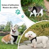 Qianruida Cat Harness with Leash, Soft Harness for Kittens, Leash
