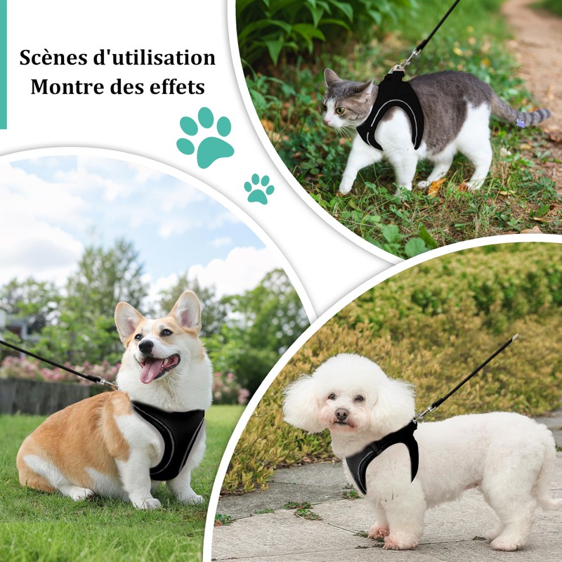 Qianruida Cat Harness with Leash, Soft Harness for Kittens, Leash