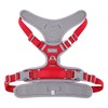 Paawpal Adjustable Dog Harness - No Pull, Reflective, Soft Padded