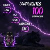 Cla Carnitina Panther Protein 1kg 100 Servicios Sabores
