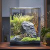 Vimvins 3 Gallon Glass Fish Tank, Easy to Maintain Small
