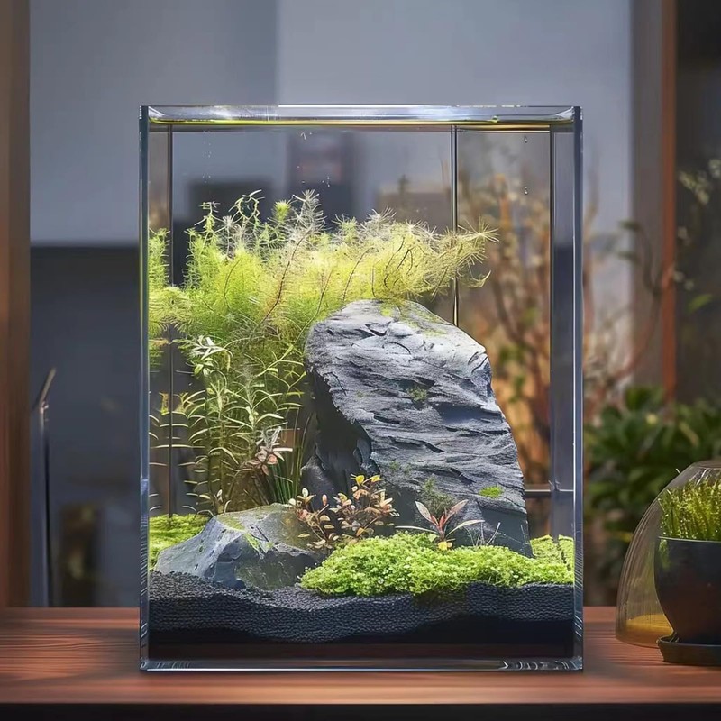 Vimvins 3 Gallon Glass Fish Tank, Easy to Maintain Small