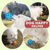 Durable Dog Puzzle Toy, Interactive Rubber Ball for Chewing, Treat