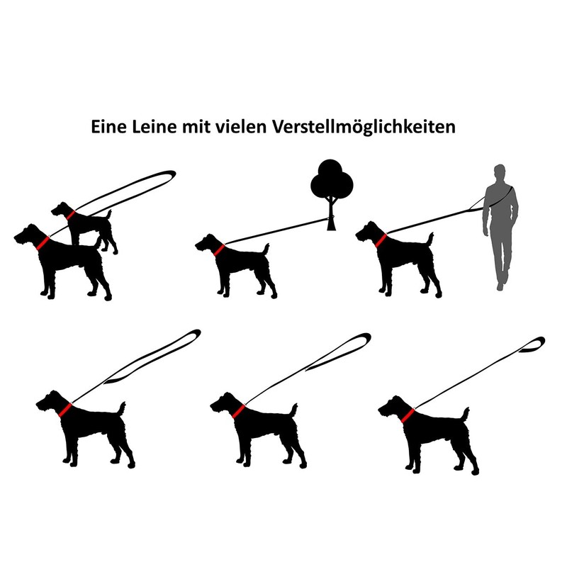 Biothane Dog Lead Black Hook Adjustable for Small Dogs /