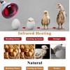 2 Pack 275W Infrared Heat Bulbs Red Heat Lamp Glass