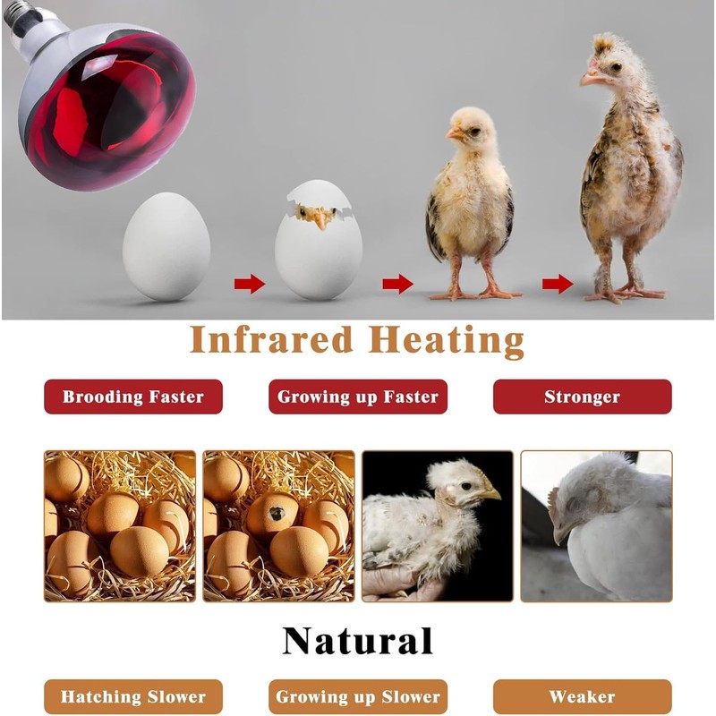2 Pack 275W Infrared Heat Bulbs Red Heat Lamp Glass