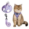 Arblina Soft Mesh Kitten Harness and Leash Set for Walking,