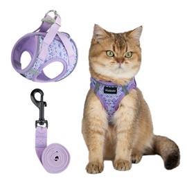 Arblina Soft Mesh Kitten Harness and Leash Set for Walking, Lightweight Step in Cat Vest Harness,Reflective Ajustable Puppy Vest for Traveling