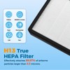 Scienraise 1 Pack HAP602 Replacement Filter Compatible with ECOSELF HAP602