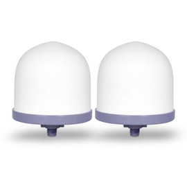 Replacement Ceramic Dome Water Filter 0.2 to 0.5 micron for Countertop & Water Coolers. First Stage of Filtration, Traps all Impurities (Set of 2)