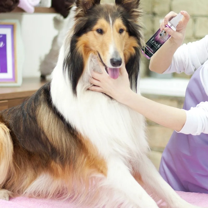 Colonia Lovely 125 Ml Para Perros