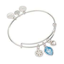 Alex and Ani Faith and Family Mother Mary Charm Bangle
