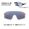 Swans L-STX DA-0151 SMK Sports Sunglasses, Made in Japan, STRIX