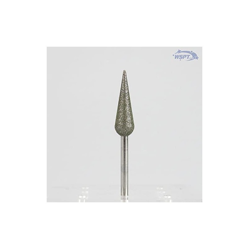 WSPT JAPAN Diamond Bit Preparator