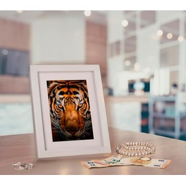 Castell Deco - Camouflage Photo Frame Safe 13 x 18 cm Secret Hideaway in the Shape of a Photo Holder, Money Box Safe for Documents Papers and Passports (White)