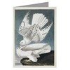 Twelve Assorted Notecards Of John James Audubon Celebrated Illustrations Of