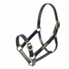 Shires GARA Fully Adjustable Leather Headcollar Foal Black