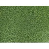 PVC flooring vinyl flooring in lawn look, DIN A4 sample