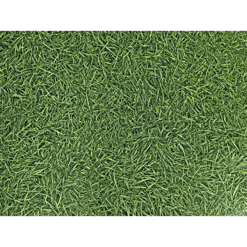 PVC flooring vinyl flooring in lawn look, DIN A4 sample