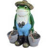 THE ENCHANTED GARDEN Farming Frog Ornament Outdoor Resin Fun Animal