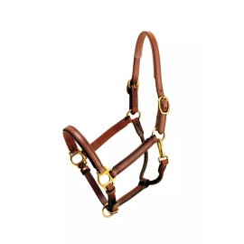Tory Leather 3/4" Padded Leather Halter with Brass Hardware - Size Cob/Arab  - OAK/OAK