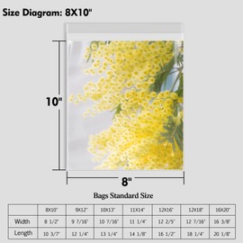 Mat Board Center, 50 Pack 8 1/2" x 10 3/7" Acid-Free Crystal Clear Sleeves Storage Bags for 8x10 Art Prints/Pictures/Photos/Framing Mat Mattes