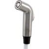 Delta Faucet RP54235 Classic Spray Hose and Diverter Assembly, Chrome