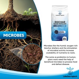 LakeDew Biochar Lawn Fertilizer 16‑0‑8 – Moisture Retention & Microbial Boost – Fix New Construction or Sandy Soils – Eco‑Friendly, Covers 2,500‑6,000 sq ft