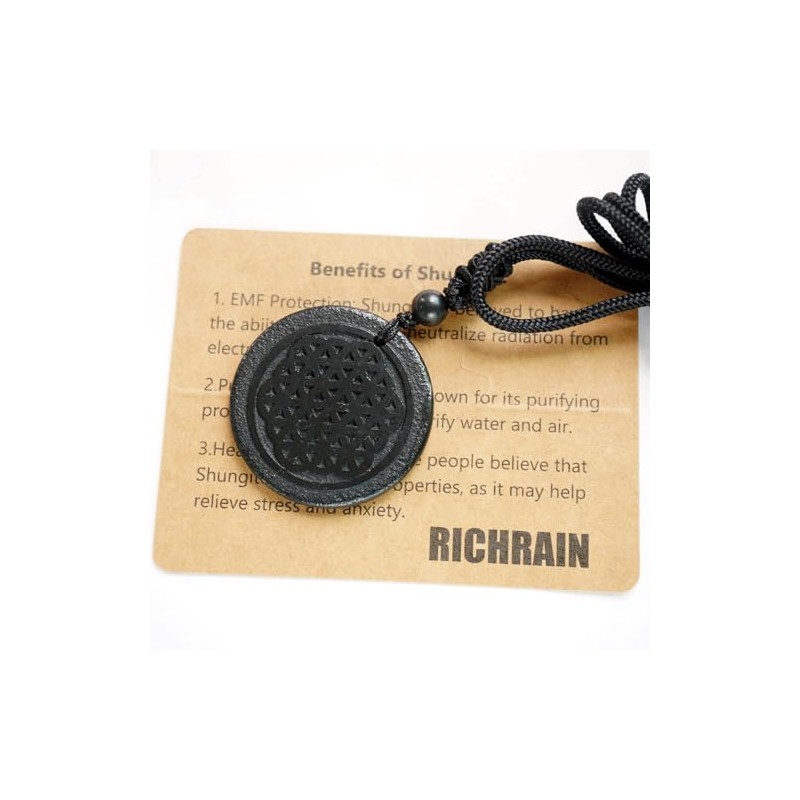 RICHRAIN RICHRAIN Halskette mit Anh?nger aus echtem natrlichem Schungit, spirituelle