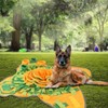 XUMMI 2PCS Snuffle Mat for Dogs & Dog Rope Toy