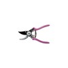 Burgon & Ball RHS Gift Pruner and Holster Set Asteraceae