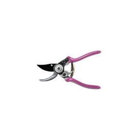 Burgon & Ball RHS Gift Pruner and Holster Set Asteraceae