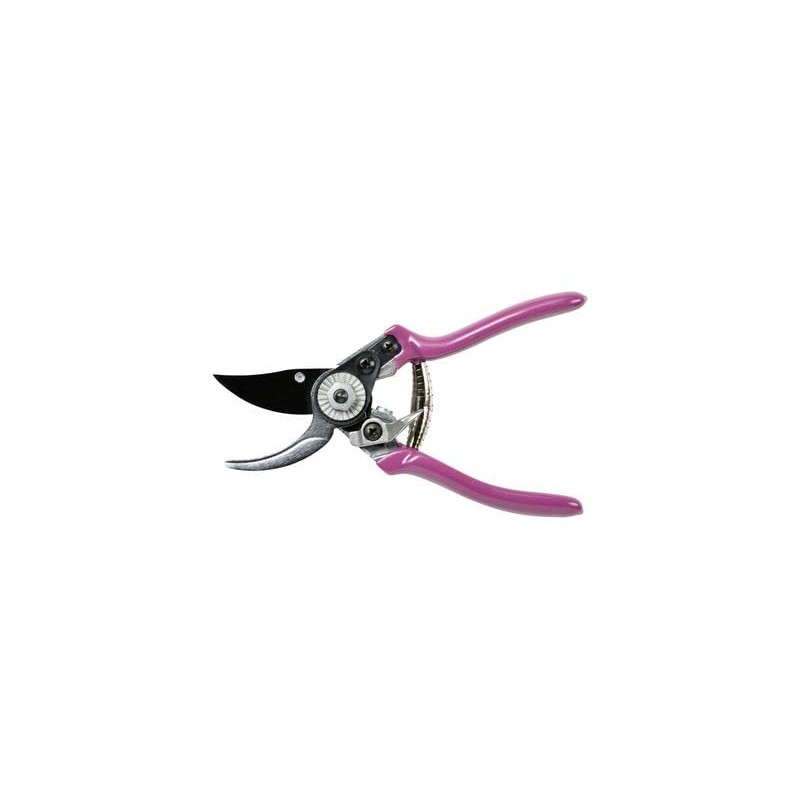 Burgon & Ball RHS Gift Pruner and Holster Set Asteraceae