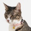 Petio Cat Collar CAT COLLAR Shrimp Red