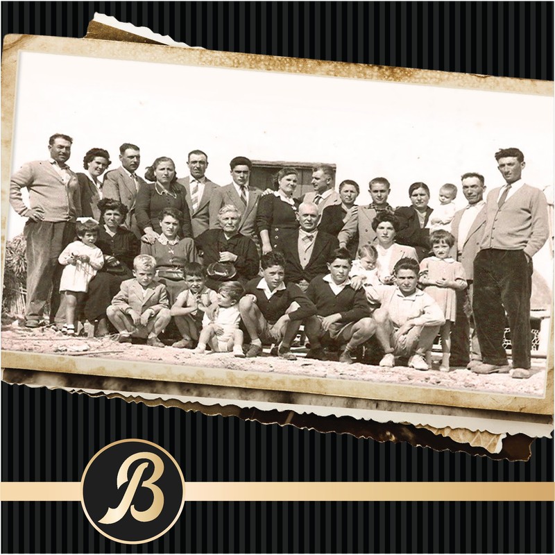 Botticelli Extra Virgin Olive Oil | 16.9 oz | 500