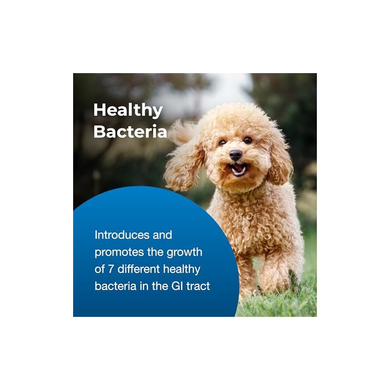 Bene-Bac Plus Pet Gel, Pro Pack, 15gm