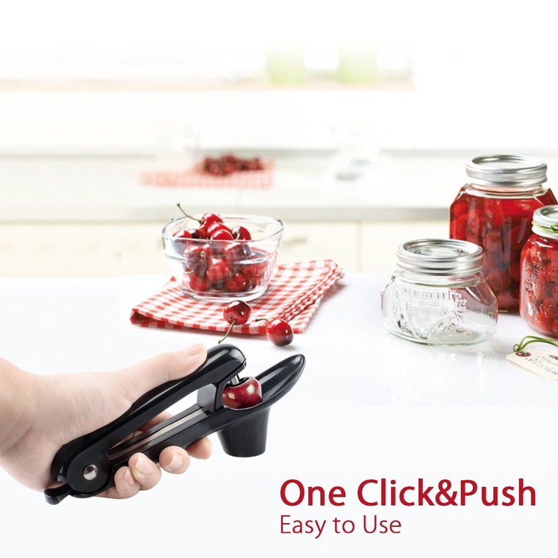 Ruibo Cherry Pitter Tool And Olive Pitter Remover Stoner Manual