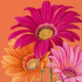 IHR Ideal Home Range Cocktail Napkins Disposable 3-Ply Paper Party Napkin Pack, 5" x 5", Joyful Gerbera (Orange), 20-Count