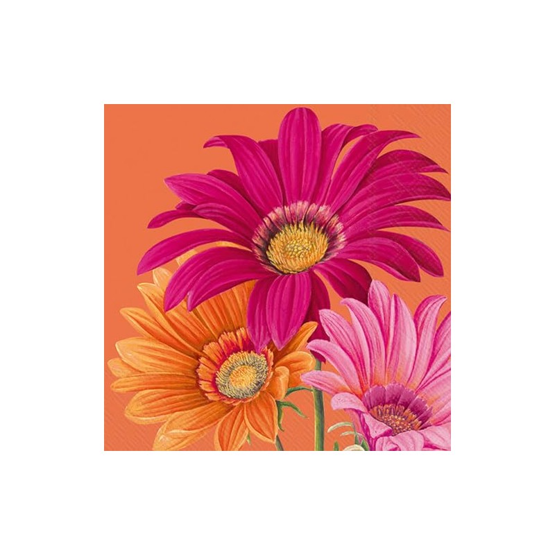 IHR Ideal Home Range Cocktail Napkins Disposable 3-Ply Paper Party